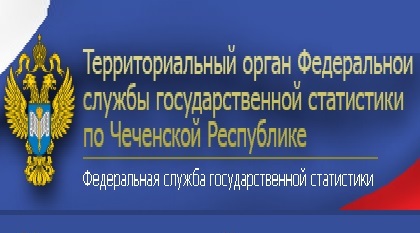 Чеченстат: основные итоги социально-экономического развития ЧР за январь-февраль 2019 года