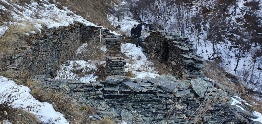 ДРЕВНИЕ ПОСЕЛЕНИЯ ОБНАРУЖИЛИ ЧЕРЕЗ СПУТНИК