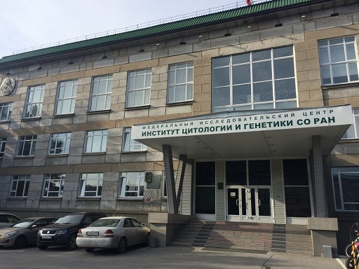 Создан комплексный метод диагностики генетических мутаций
