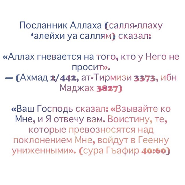 Без названия