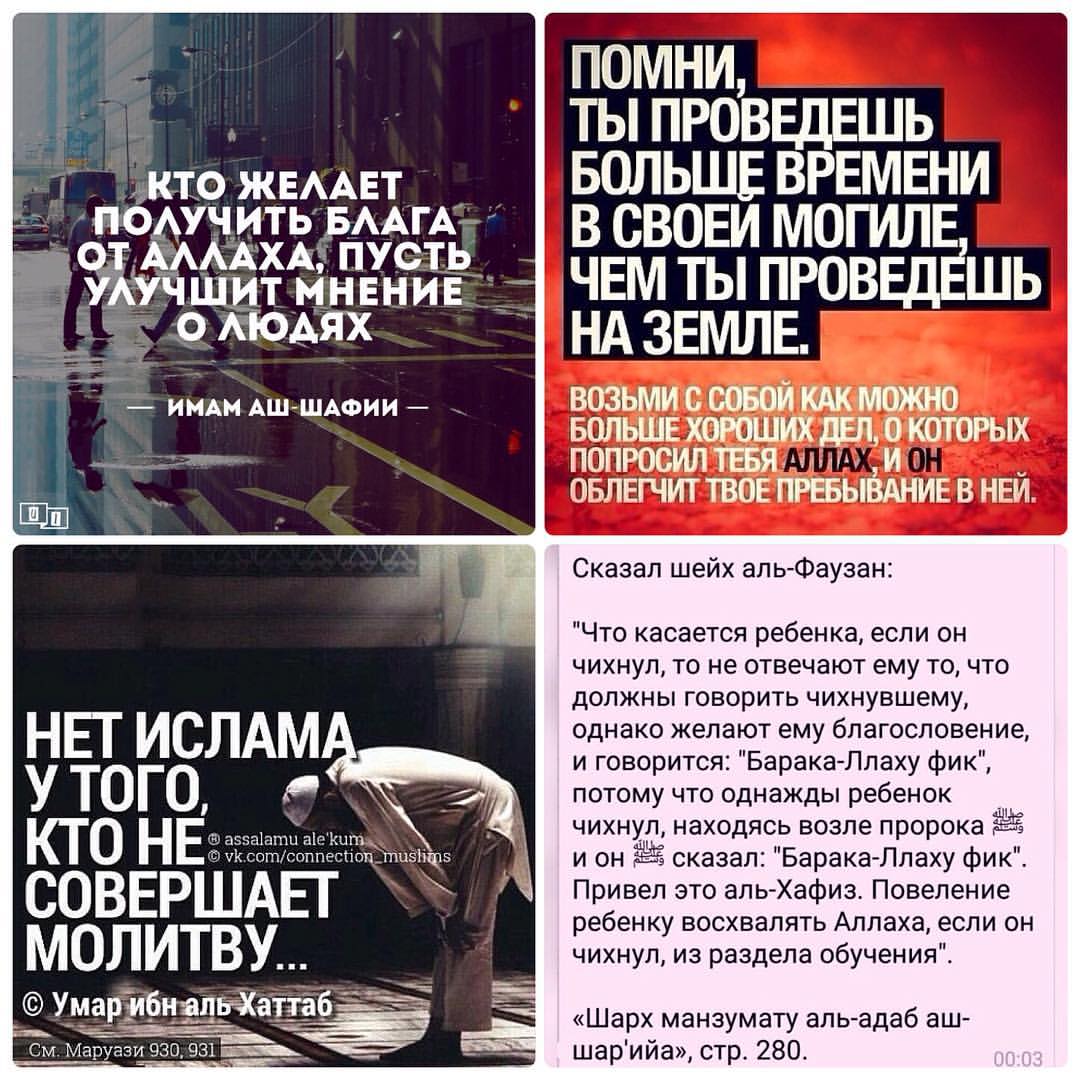 Без названия